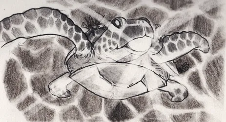 An image of a large sea turtle swimming toward the viewer, beams of light like the striations of light filtering through water. There are barnacles on the sea turtle’s back and a large gleaming pearl in its mouth.